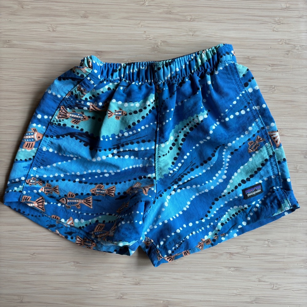 Blue Patagonia Patterned Swim Shorts